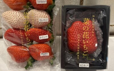 こだわりの安田農園さんの苺 今シーズン始まりました