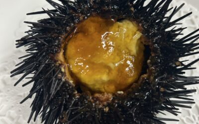 今年も生雲丹(岩手県産北ムラサキ雲丹)の季節がやってきました